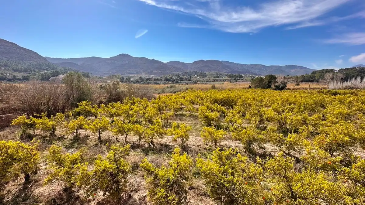 Casa o chalet en venta en Benicolet
