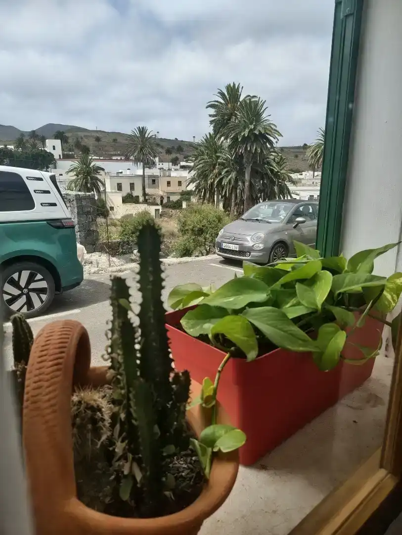 Exterior view of Houses for sale in Haría  with Storage room, Furnished and Oven