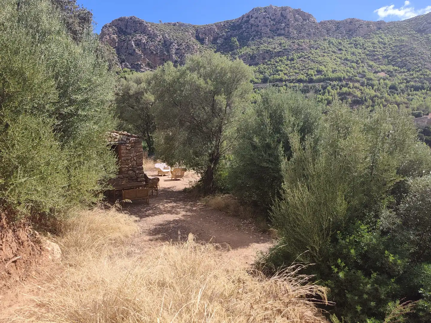 Terreny rústic en venda a Andratx pueblo, imagen 22