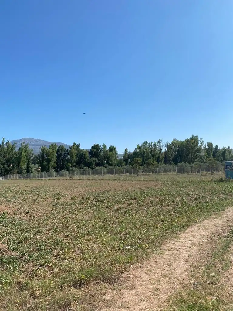 Terreni e lotti in vendita a Alcaudete, imagen 5