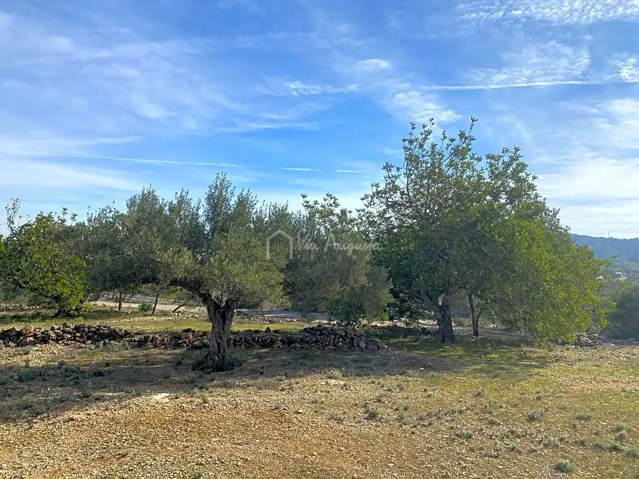 Terreno rustico in vendita a Planas, imagen 5