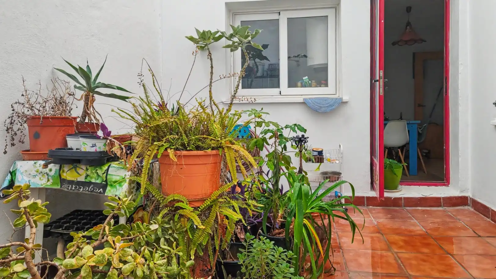 Appartement avec piscine à vendre à Jesús Pobre, imagen 5