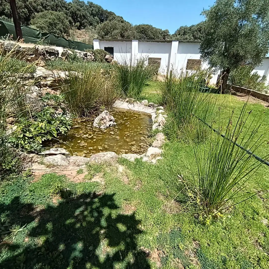 Casa rústica amb terrassa en venda a Loja, imagen 13