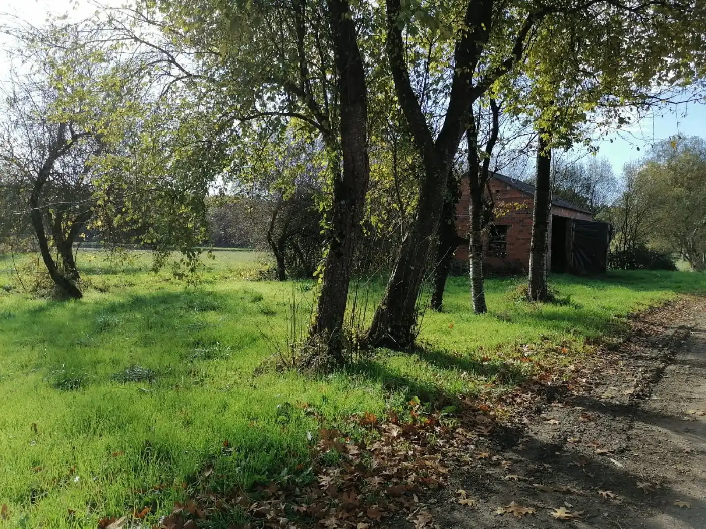 Terreni e lotti in vendita a Castro de Rei, imagen 4