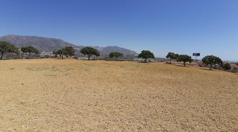 Foto 3 de Terreno en venta en Mijas Golf, Mijas