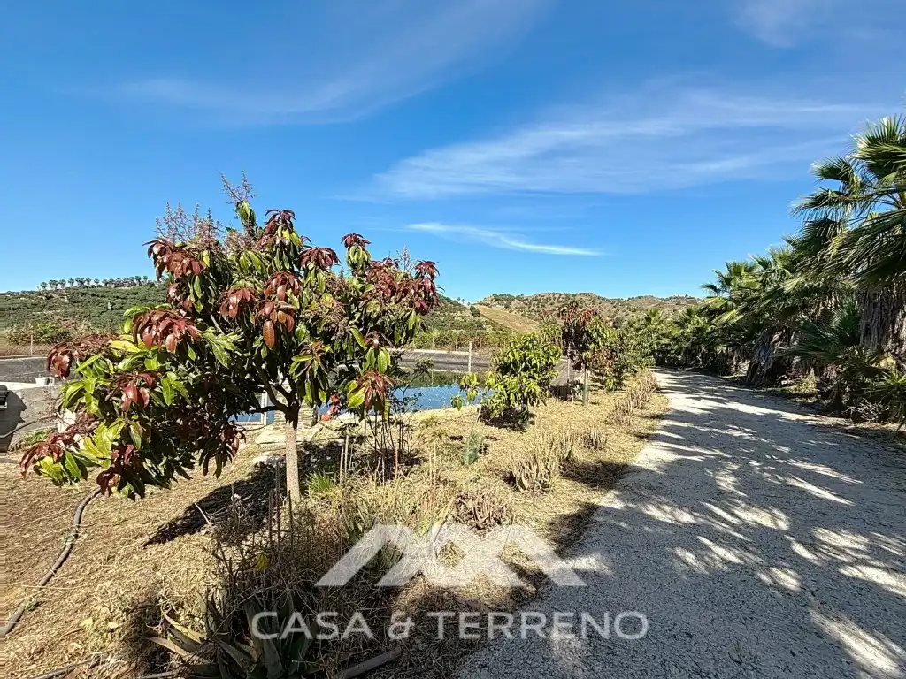 Vista exterior de Casa o xalet en venda en Vélez-Málaga amb Aire condicionat, Jardí privat i Terrassa
