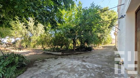 Foto 5 de Finca rústica en venta en Cv-41, Urbanitzacions i Pedanies Sud, Alzira