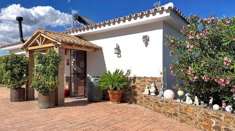 Finca Legalizada con Casa, Apartamento, Piscina y Producción de Aguacates en Las Alberdinas, Estepona