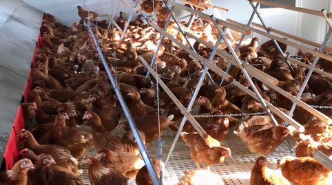 Se vende granja para explotación o como forma de vida autosostenible y ecológica., imatge 4