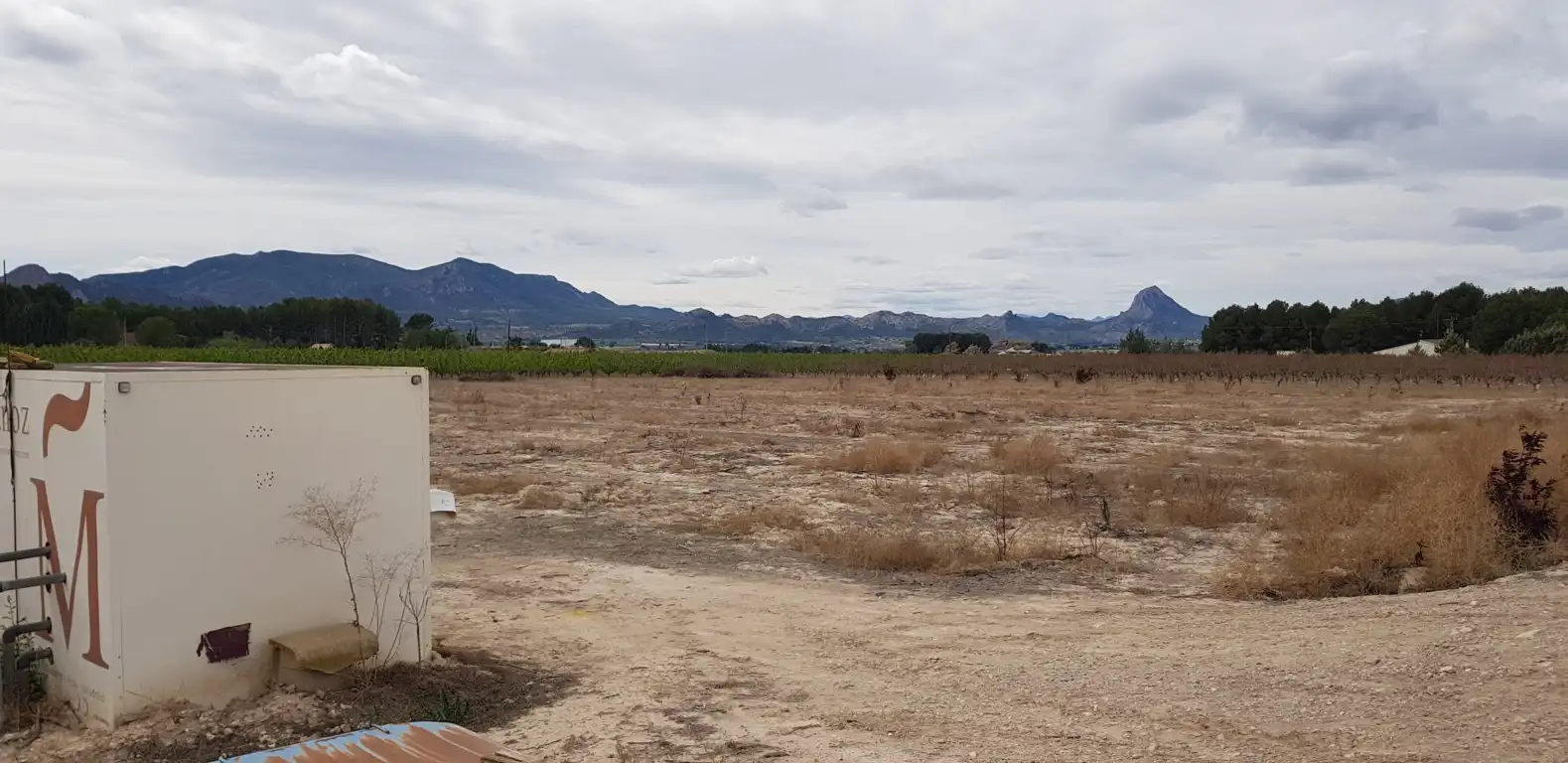 Rustikales Grundstück zum Verkauf in Cieza, imagen 3
