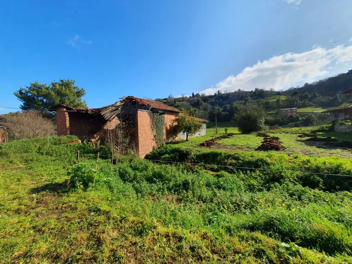 Casa con jardín en venta en Salas, imagen 7