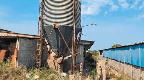 Foto 5 von Fabrikhallen zum Verkauf in Botarell, Tarragona