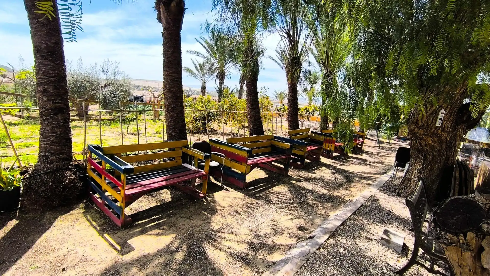 Jardín de Finca rústica en venta en Murcia con Aire acondicionado, Calefacción y Piscina