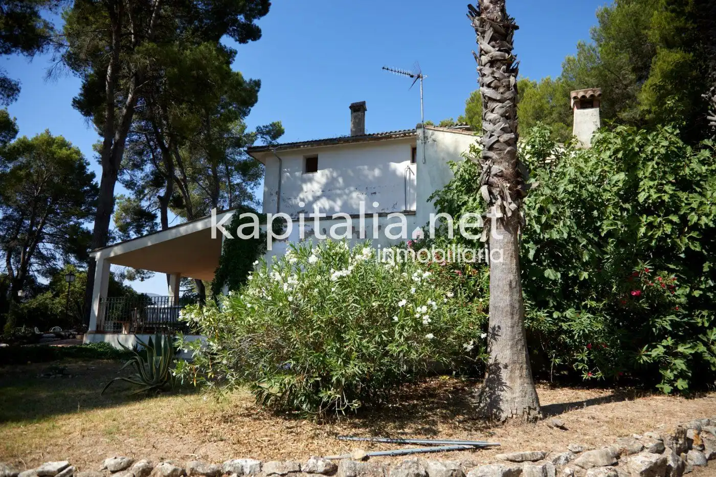 Chalet en venta en El Pilar, imagen 15
