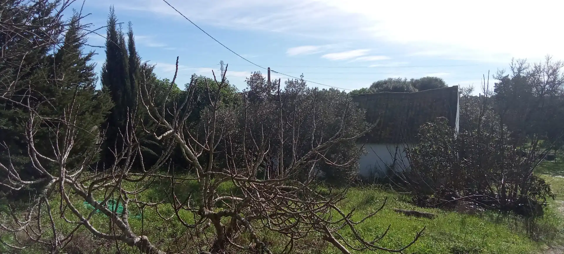 Casa rústica en venda a Vejer, imagen 16
