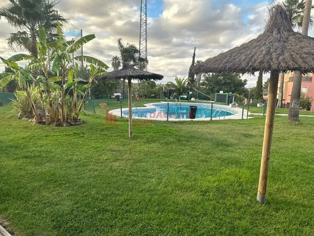 Swimming pool of Apartments for rent in Islantilla