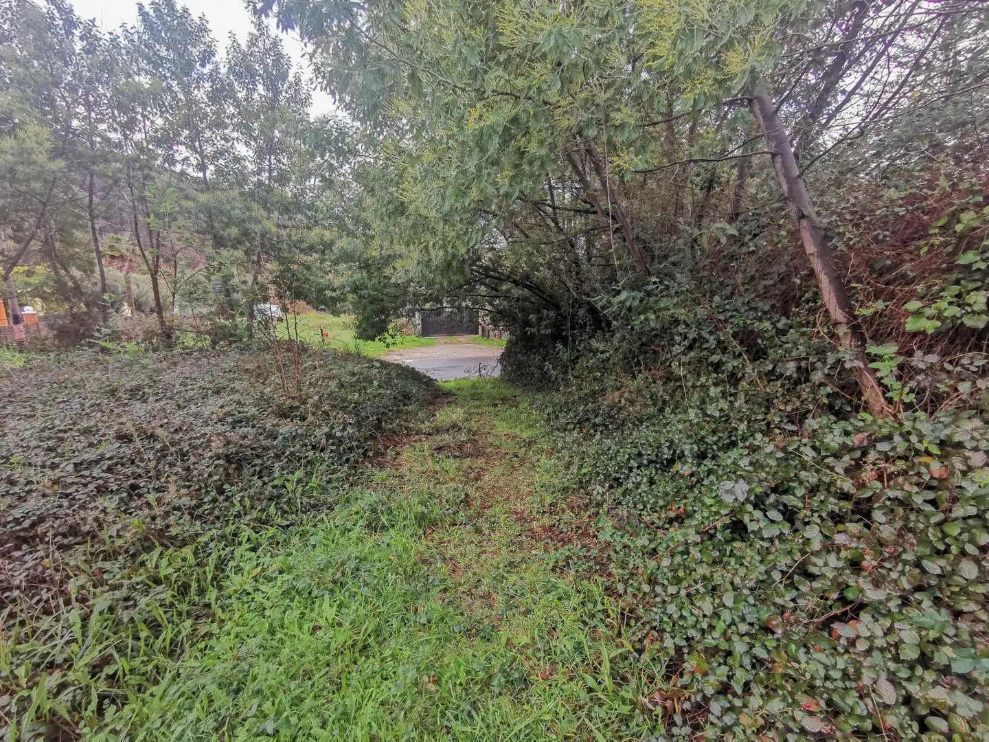 Residential land for sale in Calle Bartolomé Casas 9, imagen 9