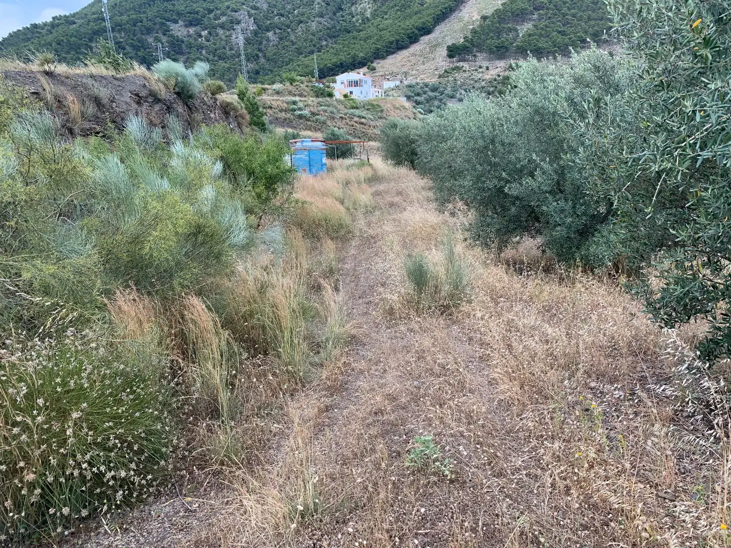 Terrenys i solars en venda a Calle Llanillo, imagen 2