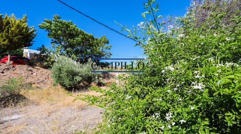 SE VENDE PARCELA RUSTICA  CORTIJO EN LA ZONA DE LOS PEREZ, immagine 5