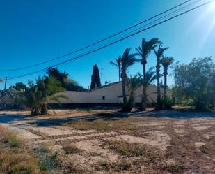 Exterior view of Country house for sale in Elche / Elx