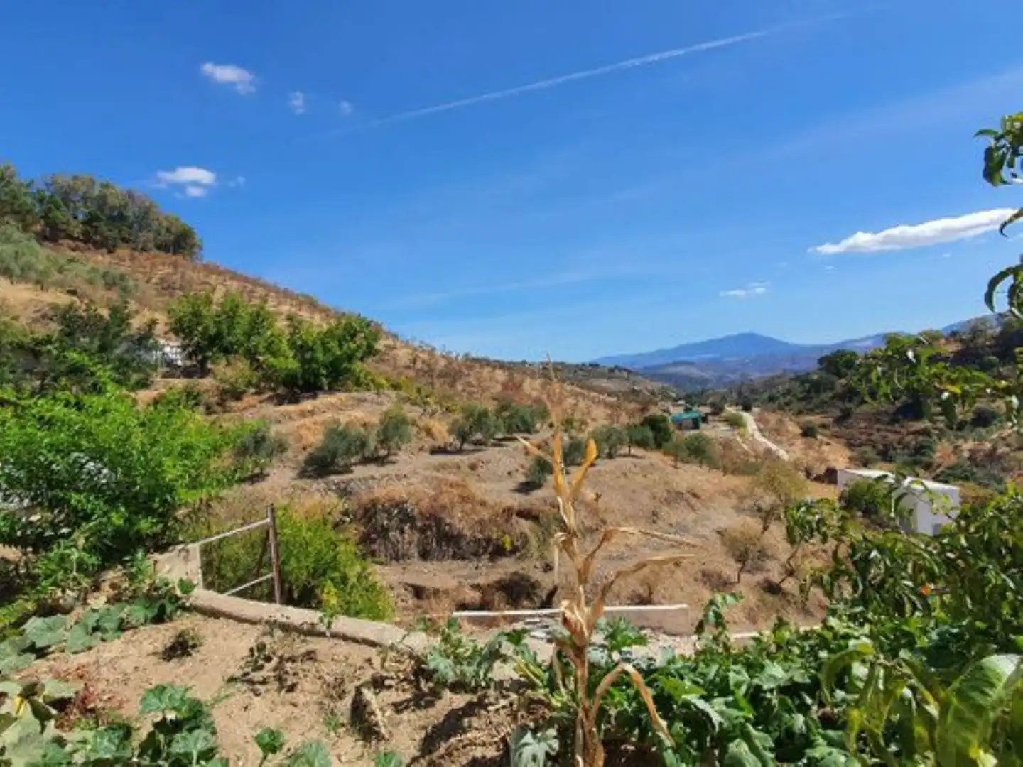 Garden of Country homes for sale in Yunquera  with Terrace, Storage room and Swimming Pool