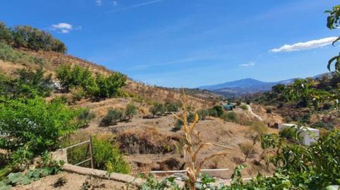 Foto 2 de Finca rústica en venda a Yunquera, Málaga