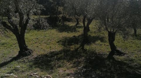 Foto 2 von Grundstücke zum Verkauf in Partida Foeta de Carrascal, Quatretondeta, Alicante