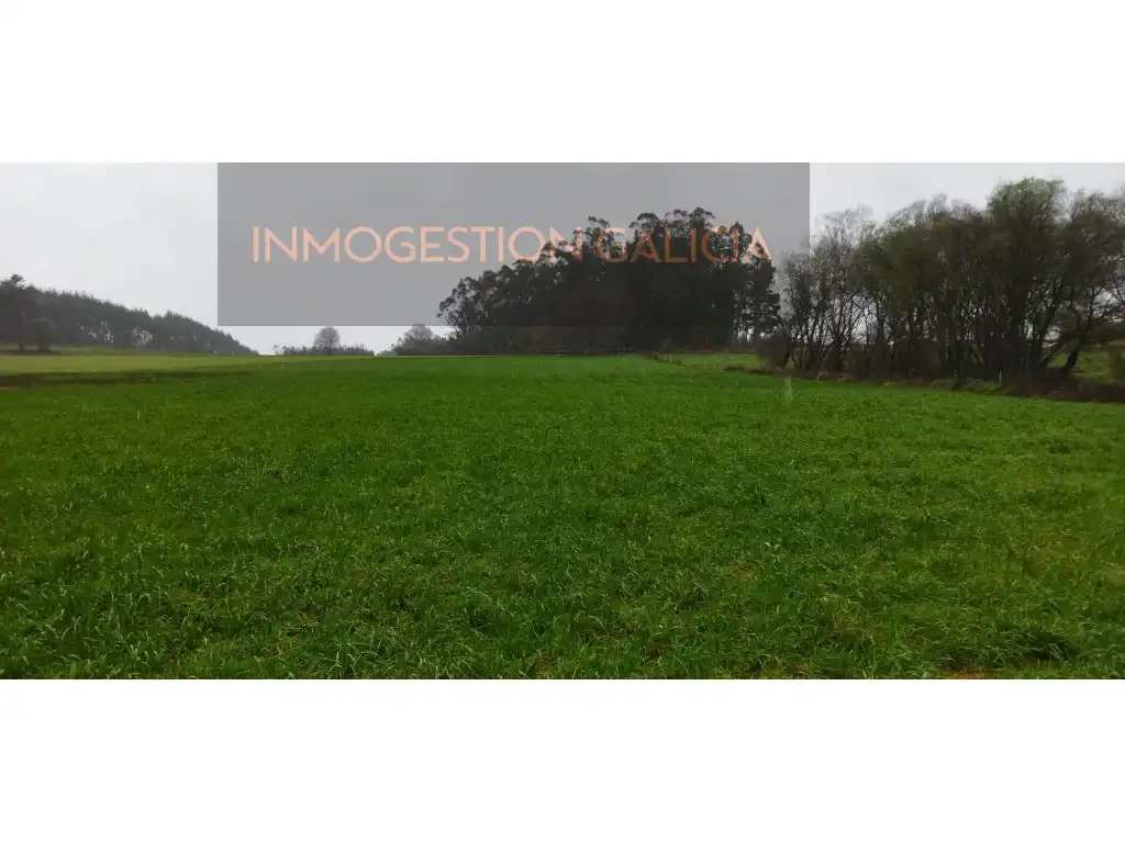 Terreny residencial en venda a Carballo, imagen 9
