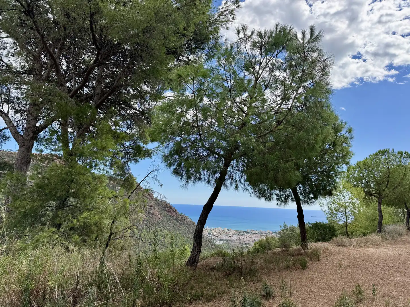 Vista exterior de Casa o chalet en venta en Benicasim / Benicàssim con Calefacción, Jardín privado y Terraza