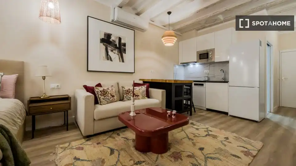 Flat with terrace to rent in Ciutat Vella, imagen 18