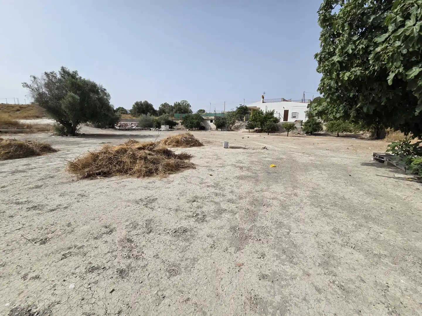 Chalet en venta en Ribera de Molina - Torrealta, imagen 19