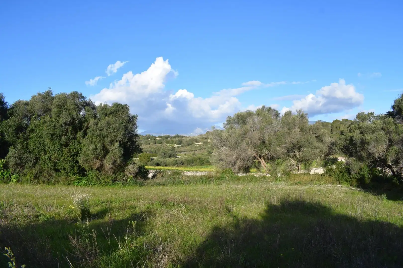 Residential land for sale in Muro, imagen 5