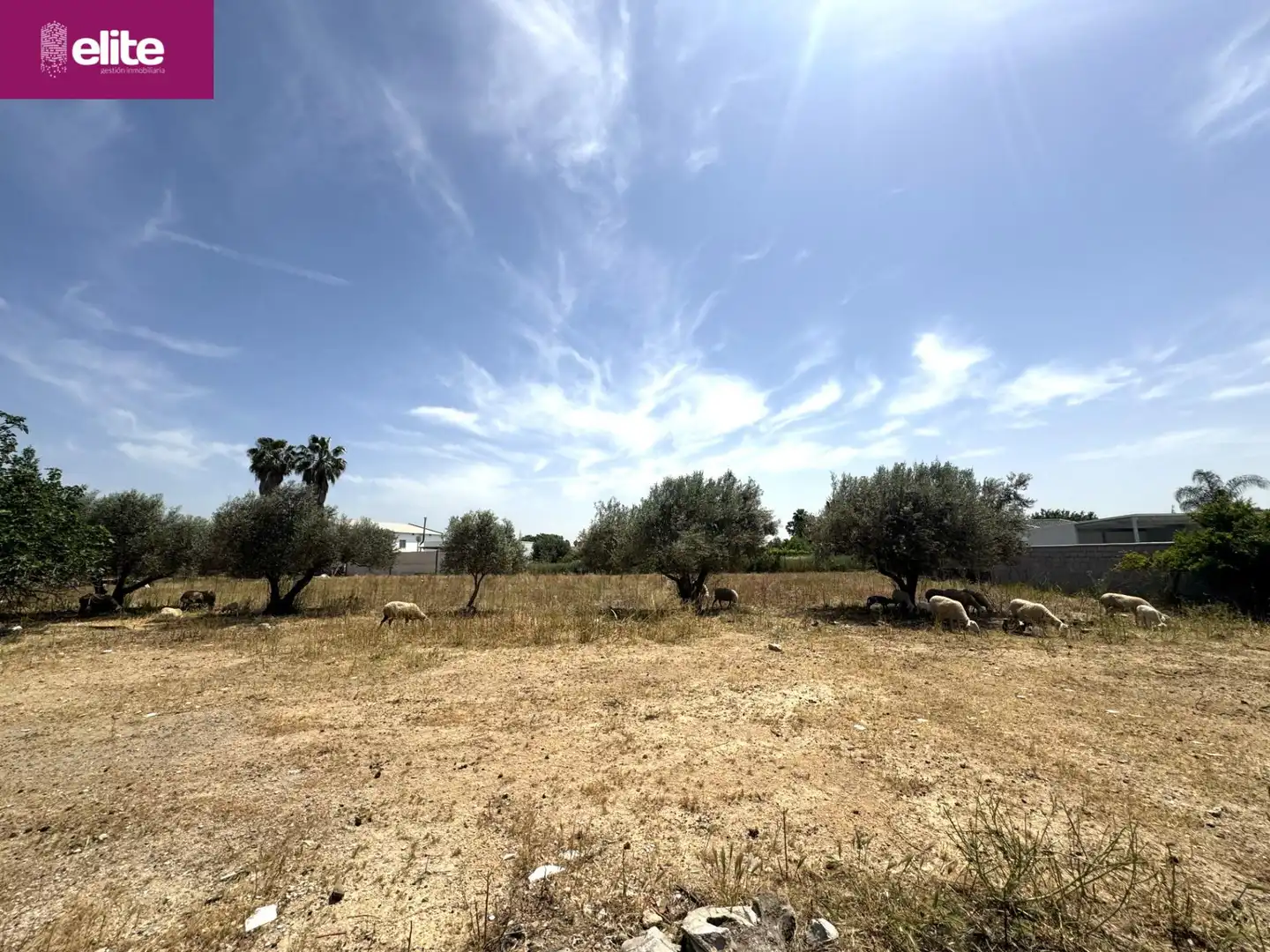 Residential for sale in Pozoalbero