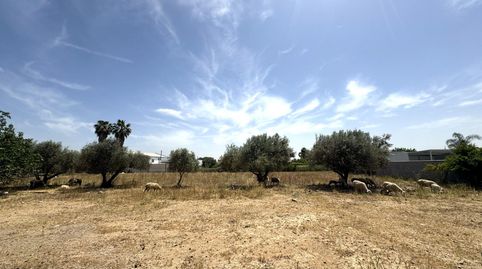 Foto 4 de Residencial en venda a Pozoalbero, Jerez de la Frontera
