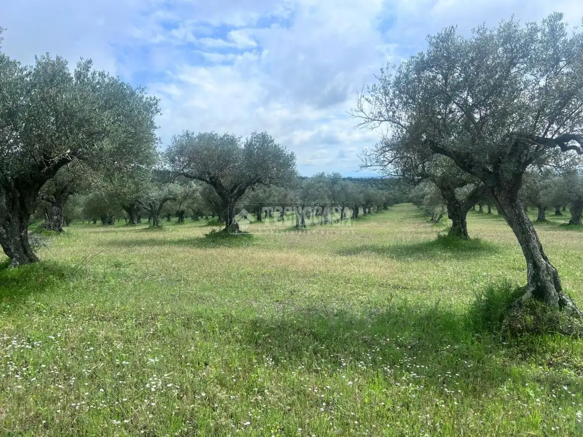 Terreno rustico in vendita a Casco Antiguo, imagen 22