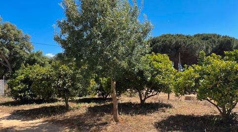 Foto 3 de Finca rústica en venda a Vejer, Cádiz