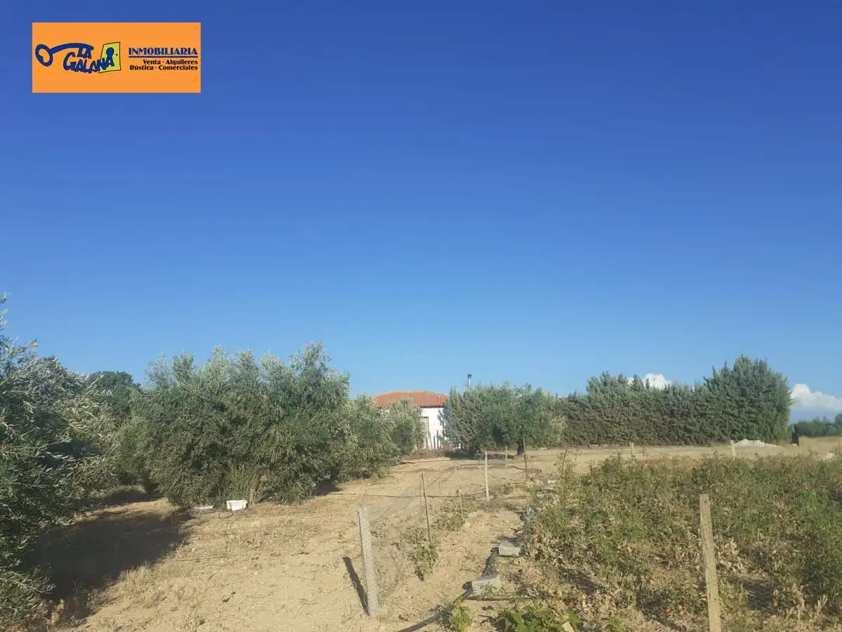 Casa rústica en venda a Valdepeñas, imagen 44