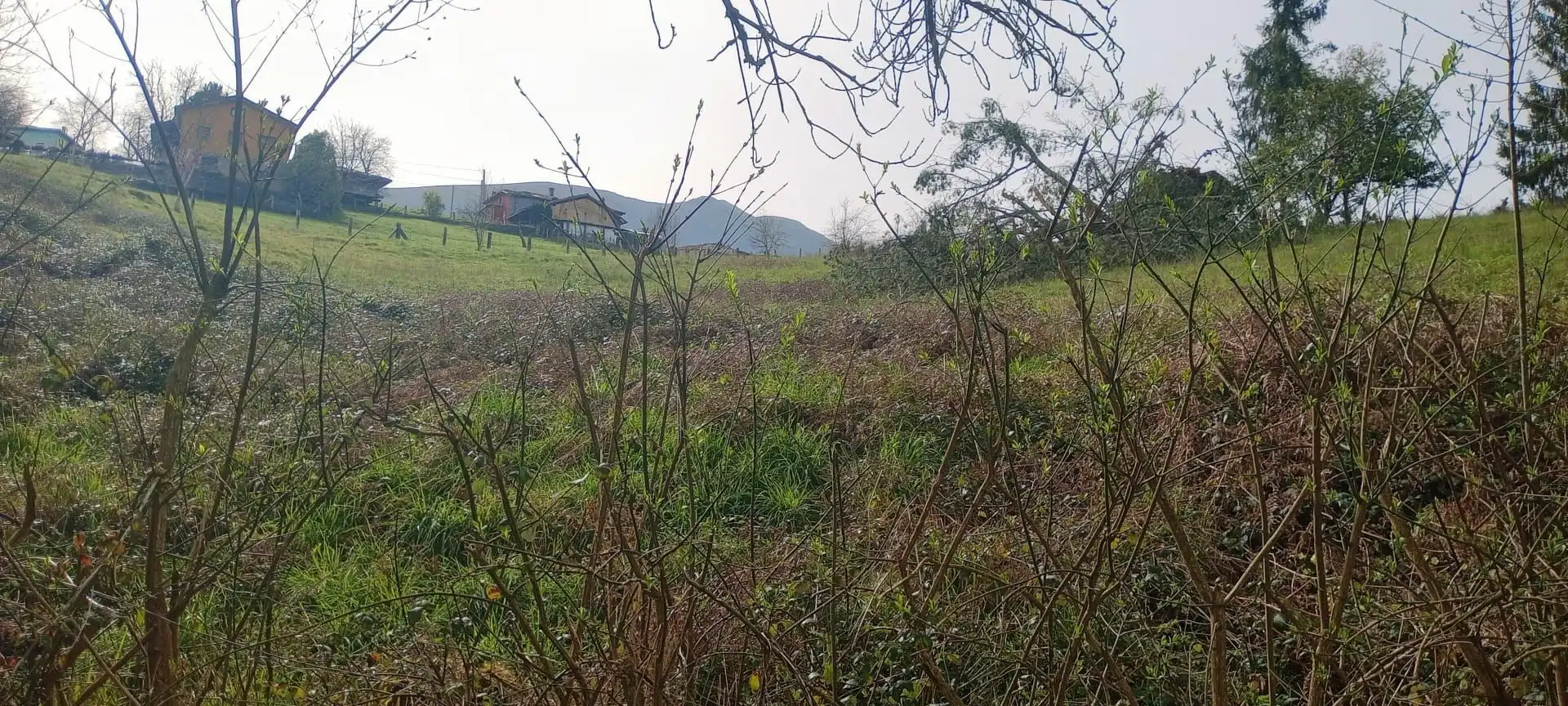 Terrenos y solares en venta en Parres, imagen 9