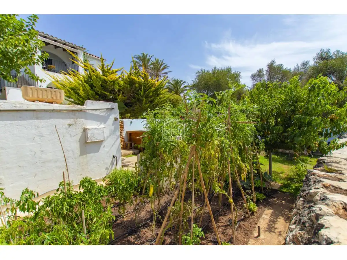 Villa mit Pool zum Verkauf in Cala Blanca, imagen 42
