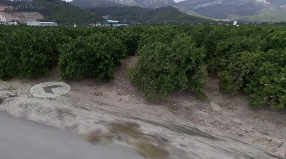 Rural land for sale in Tavernes de la Valldigna, imagen 6