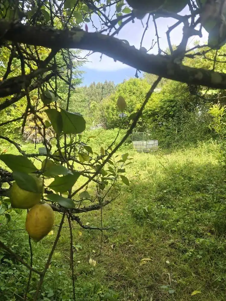 Casa rústica amb jardí en venda a Moeche, imagen 32