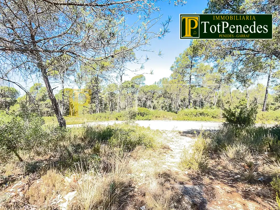 Terreny residencial en venda a Carrer Tarragona, imagen 17