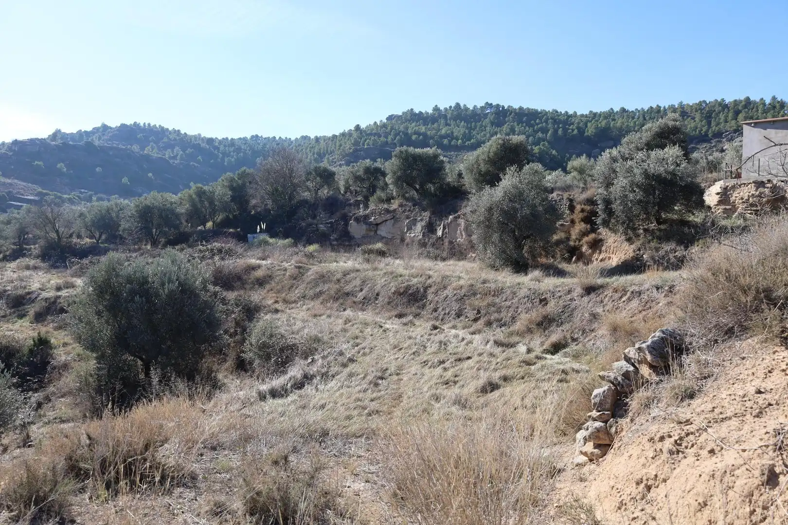 Terreni e lotti in vendita a Camino Polígono 763 Parcela 6204 VUEL MAJ. ALCAÑIZ (TER, imagen 4