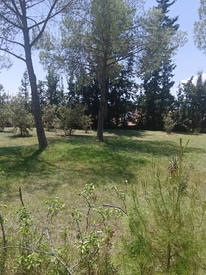 Casa o xalet en venda en Cascante amb Calefacció, Jardí privat i Parquet