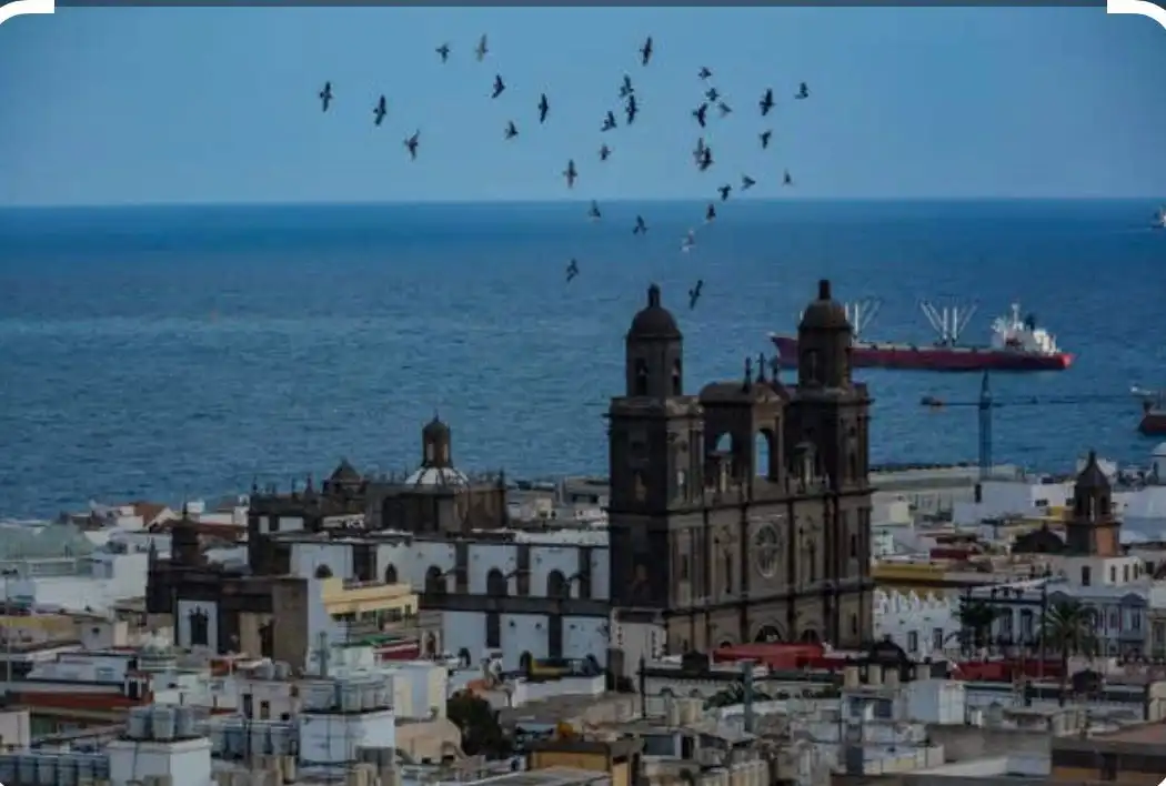 Vista exterior de Pis en venda en Las Palmas de Gran Canaria amb Moblat
