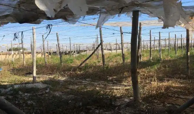 Rustikales Grundstück zum Verkauf in Alcóntar, imagen 5