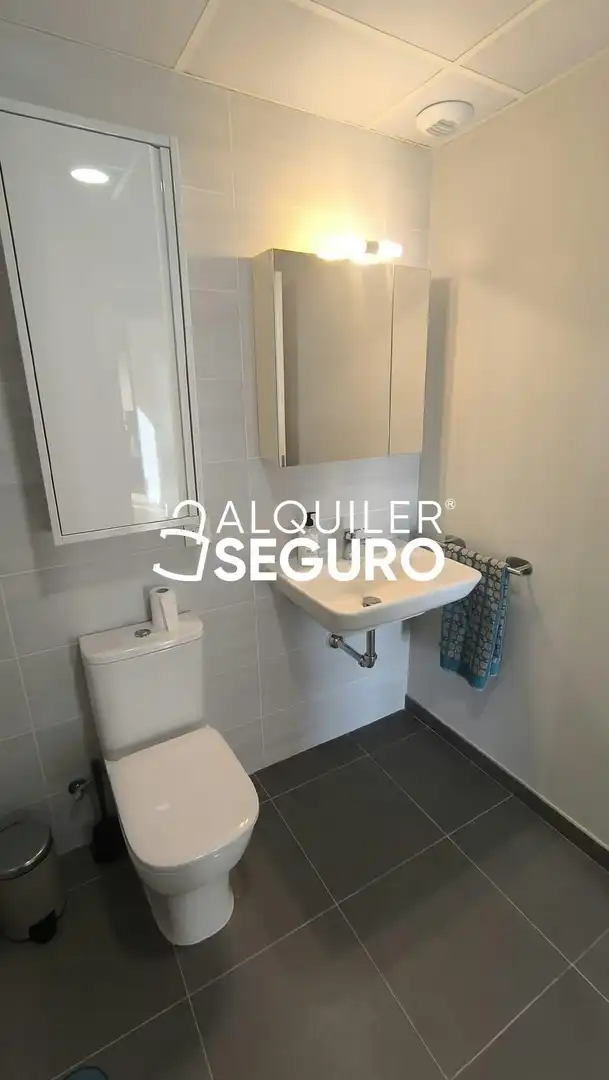Baño de Piso de alquiler en Sevilla con Aire acondicionado, Trastero y Piscina