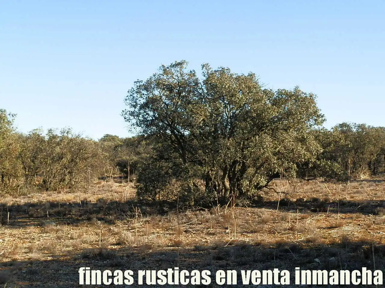 Terreni e lotti in vendita a Quintanar de la Orden, imagen 11