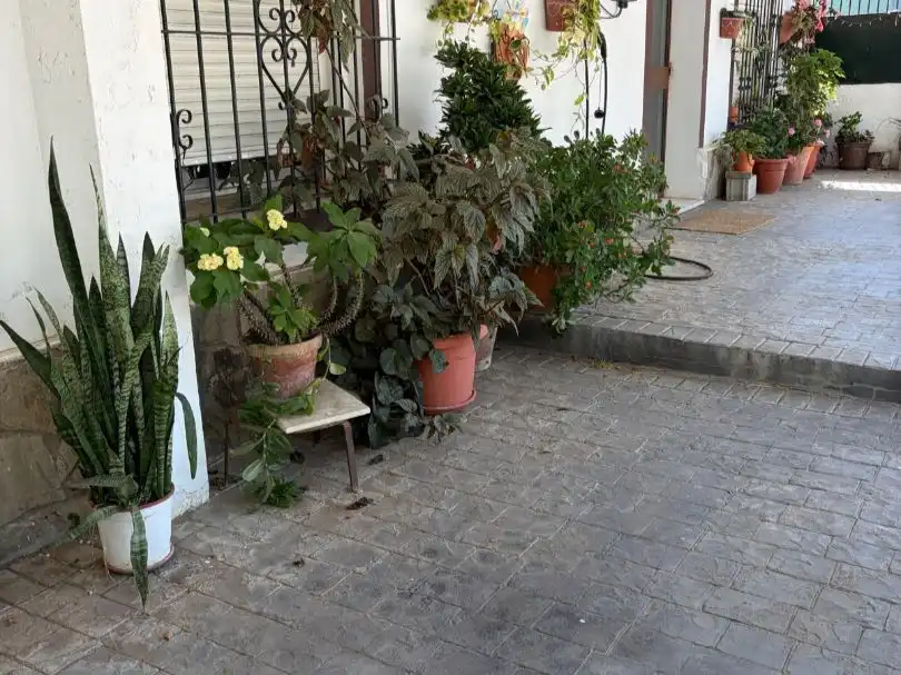 Terrace of Houses for share in Medina Sidonia, Cádiz