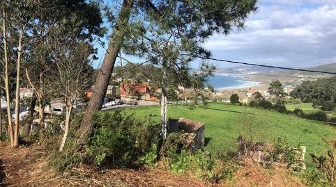Finca de 19000m2 con 1000 m2 urbanos, imatge 3